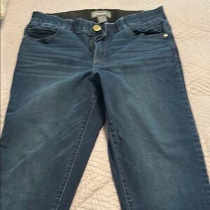 Democracy Dark Blue Skinny Jeans